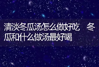 清淡冬瓜汤怎么做好吃 冬瓜和什么做汤最好喝