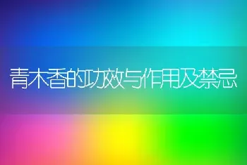 青木香的功效与作用及禁忌