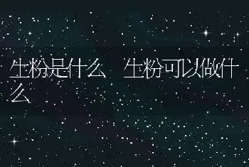 生粉是什么 生粉可以做什么