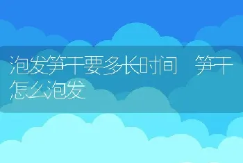 泡发笋干要多长时间 笋干怎么泡发