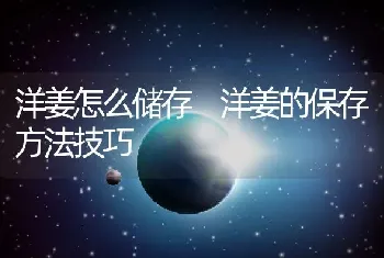 洋姜怎么储存 洋姜的保存方法技巧