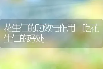 花生仁的功效与作用 吃花生仁的好处