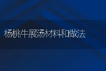 杨桃牛展汤材料和做法