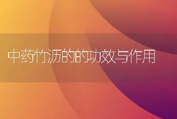 中药竹沥的的功效与作用