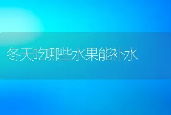 冬天吃哪些水果能补水