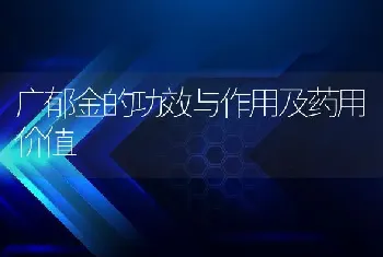 广郁金的功效与作用及药用价值