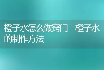 橙子水怎么做窍门 橙子水的制作方法