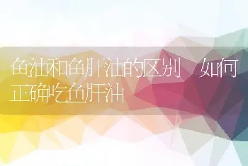 鱼油和鱼肝油的区别 如何正确吃鱼肝油