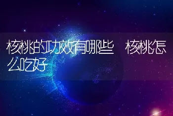 核桃的功效有哪些 核桃怎么吃好