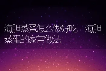 海胆蒸蛋怎么做好吃 海胆蒸蛋的家常做法