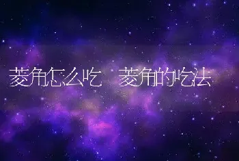 菱角怎么吃 菱角的吃法