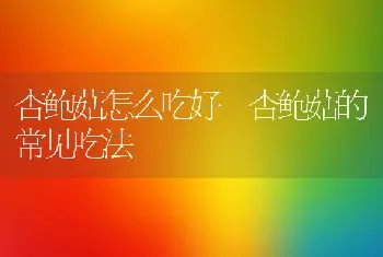 杏鲍菇怎么吃好 杏鲍菇的常见吃法