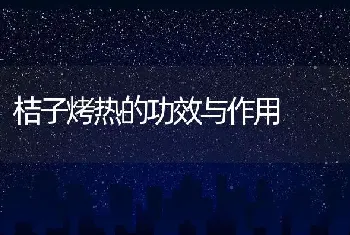 桔子烤热的功效与作用