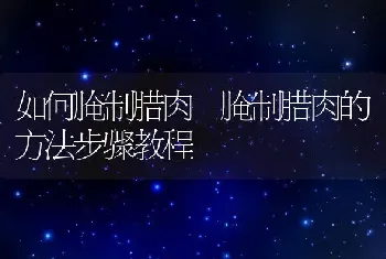 如何腌制腊肉 腌制腊肉的方法步骤教程