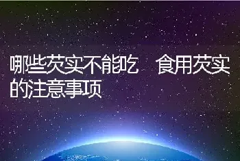 哪些芡实不能吃 食用芡实的注意事项