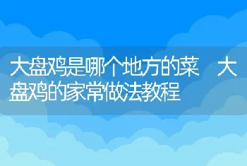 大盘鸡是哪个地方的菜 大盘鸡的家常做法教程