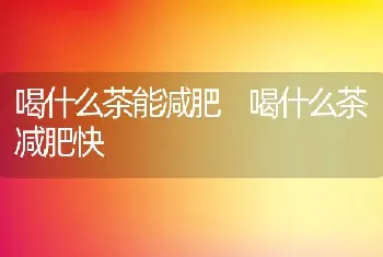 喝什么茶能减肥 喝什么茶减肥快