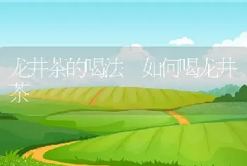 蒲公英泡水喝的功效与作用 蒲公英泡水喝的禁忌