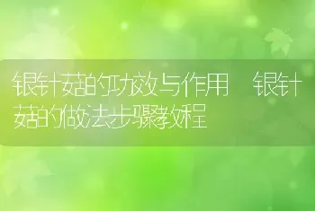 银针菇的功效与作用 银针菇的做法步骤教程