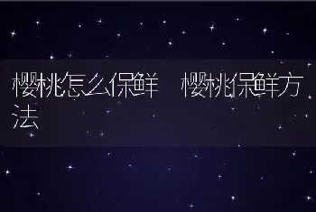 樱桃怎么保鲜 樱桃保鲜方法