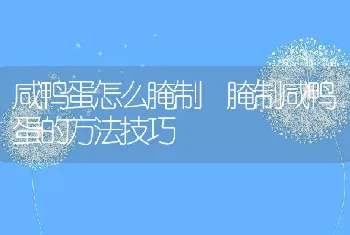 咸鸭蛋怎么腌制 腌制咸鸭蛋的方法技巧