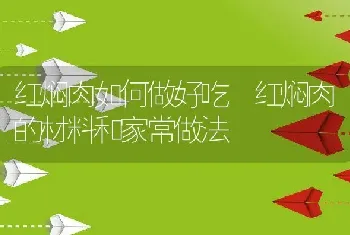 红焖肉如何做好吃 红焖肉的材料和家常做法