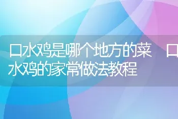 口水鸡是哪个地方的菜 口水鸡的家常做法教程