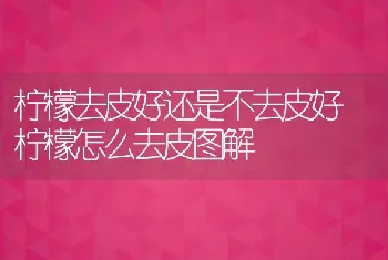 柠檬去皮好还是不去皮好 柠檬怎么去皮图解