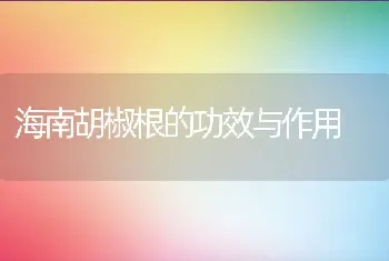 海南胡椒根的功效与作用