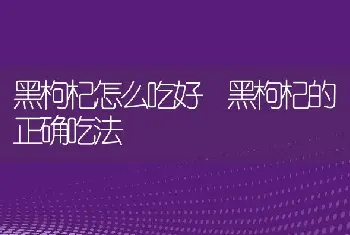 黑枸杞怎么吃好 黑枸杞的正确吃法