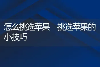 怎么挑选苹果 挑选苹果的小技巧