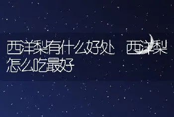 西洋梨有什么好处 西洋梨怎么吃最好