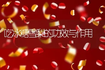 吃冰糖雪梨的功效与作用