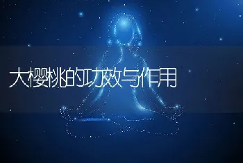 大樱桃的功效与作用