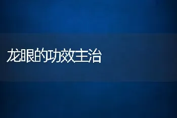 龙眼的功效主治