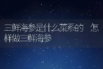 三鲜海参是什么菜系的 怎样做三鲜海参