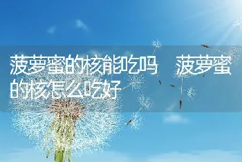 菠萝蜜的核能吃吗 菠萝蜜的核怎么吃好