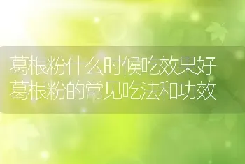 葛根粉什么时候吃效果好 葛根粉的常见吃法和功效