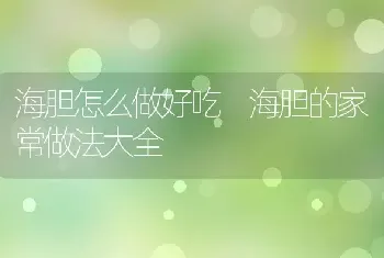 海胆怎么做好吃 海胆的家常做法大全