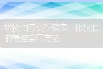 橄榄油怎么吃健康 橄榄油的最佳食用方法