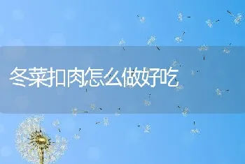 冬菜扣肉怎么做好吃