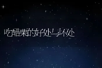 吃醋栗的好处与坏处