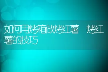 如何用烤箱做烤红薯 烤红薯的技巧