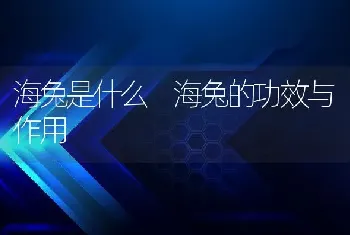 海兔是什么 海兔的功效与作用