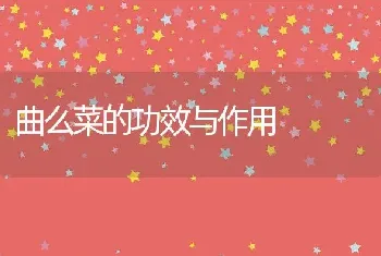 曲么菜的功效与作用