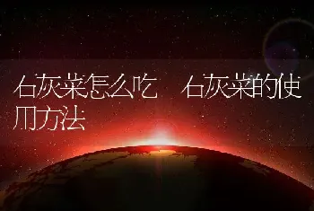 石灰菜怎么吃 石灰菜的使用方法