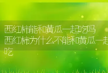 西红柿能和黄瓜一起吃吗 西红柿为什么不能和黄瓜一起吃