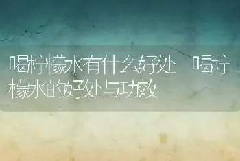 喝柠檬水有什么好处 喝柠檬水的好处与功效