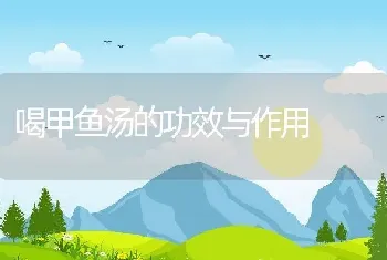 喝甲鱼汤的功效与作用