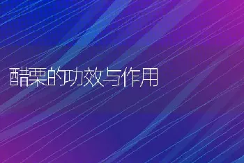 醋栗的功效与作用